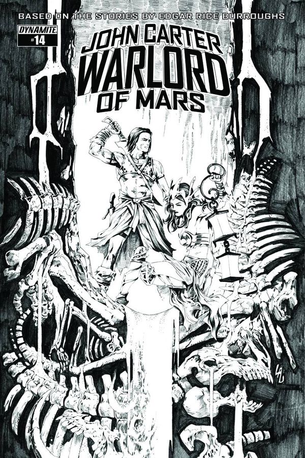 John Carter, Warlord of Mars #14 (Cover F 20 Copy Cover)