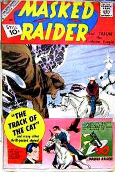 Masked Raider #30 Comic