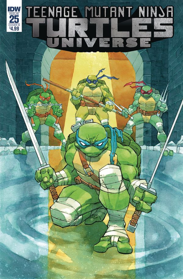 Teenage Mutant Ninja Turtles Universe #25 (Cover B Daniel)