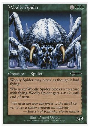 Woolly Spider (Beatdown)