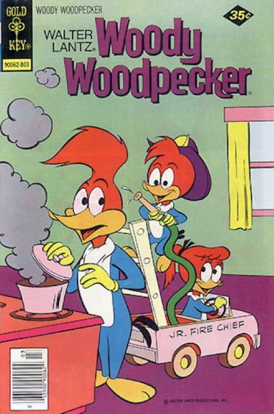 Walter Lantz Woody Woodpecker #164 Comic