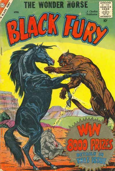 Black Fury #18 Comic
