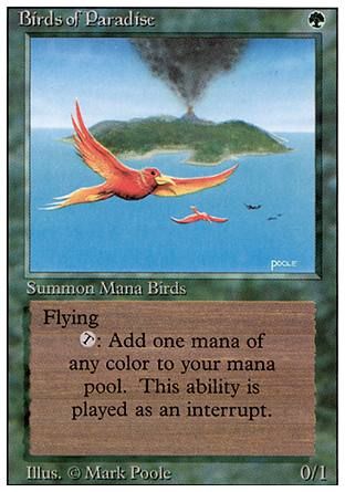 Birds of Paradise (Revised Edition) Trading Card