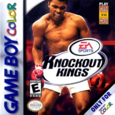 Knockout Kings Video Game