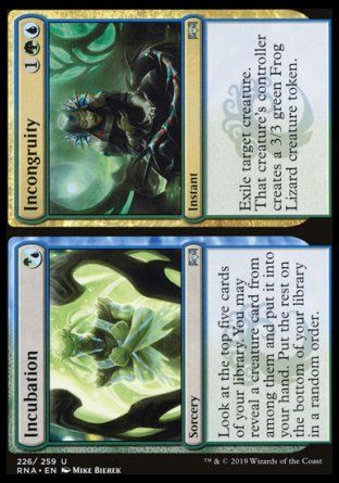 Incubation / Incongruity (Ravnica Allegiance) Trading Card