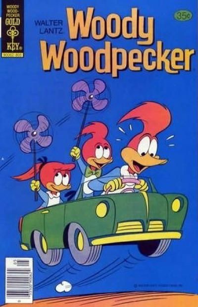 Walter Lantz Woody Woodpecker #166 Comic