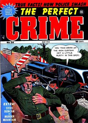 The Perfect Crime #24