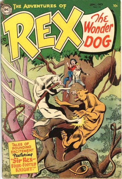 The Adventures of Rex the Wonder Dog #17 Comic