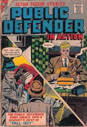 Public Defender in Action #11