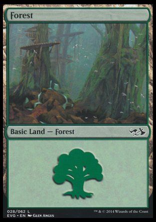 Forest (Duel Decks : Anthology) Trading Card