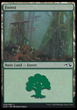 Forest (Duel Decks : Anthology)