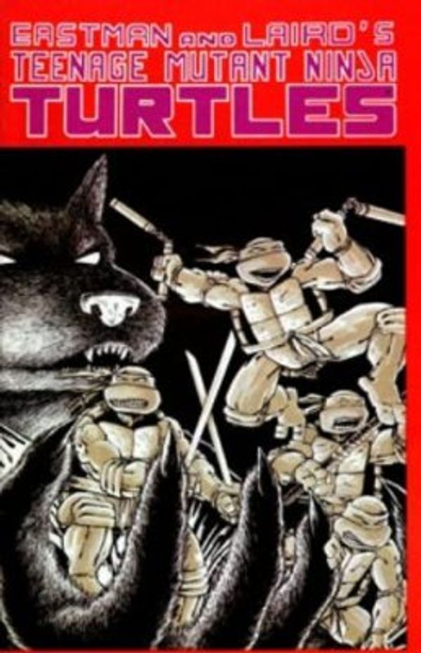Teenage Mutant Ninja Turtles #1 (5th Printing)
