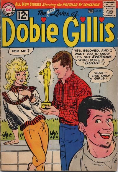 Many Loves of Dobie Gillis #17 Comic