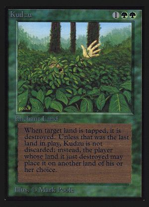 Kudzu (Collector's Edition)