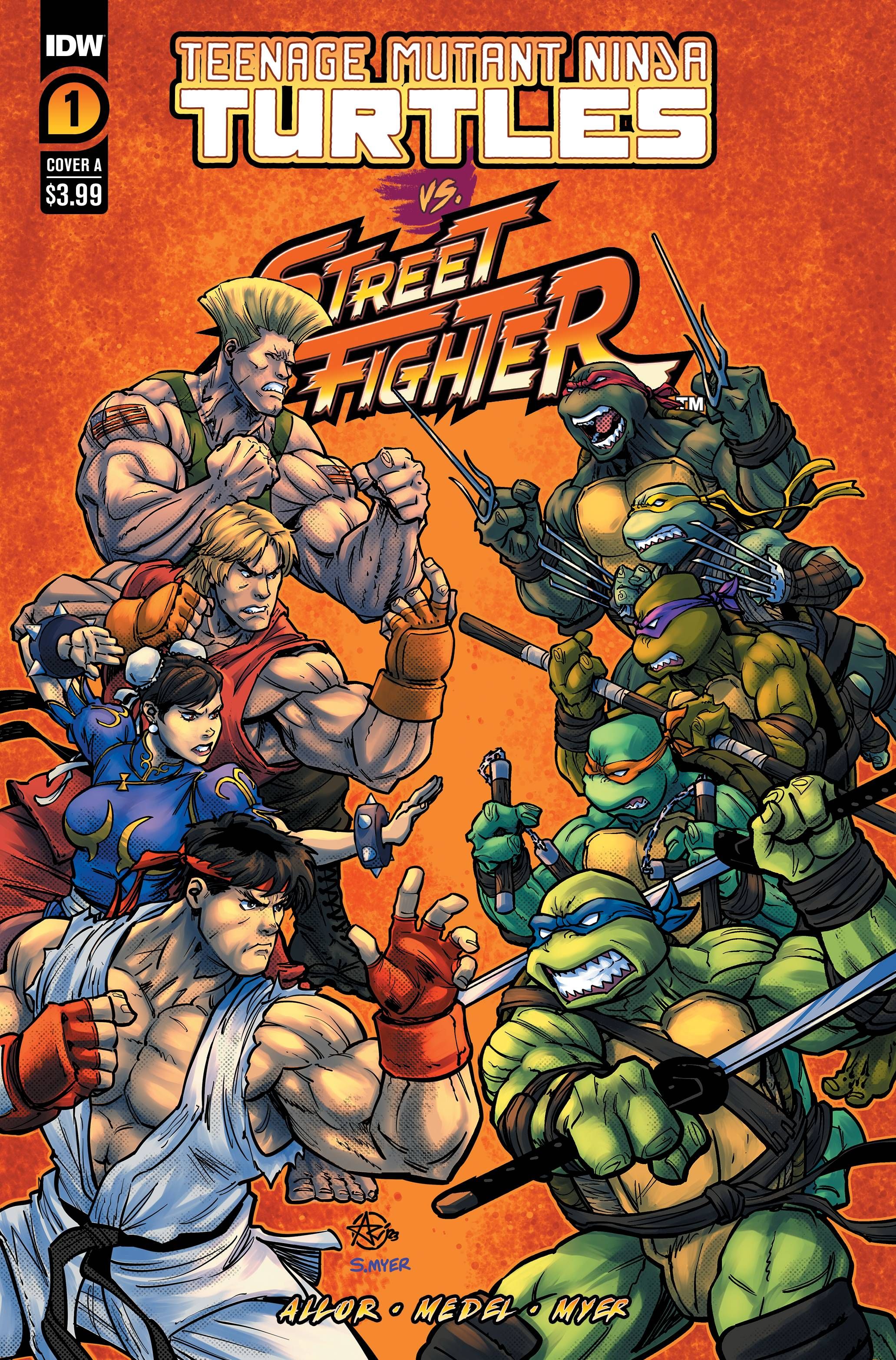 Teenage Mutant Ninja Turtles vs. Street Fighter #1 Comic