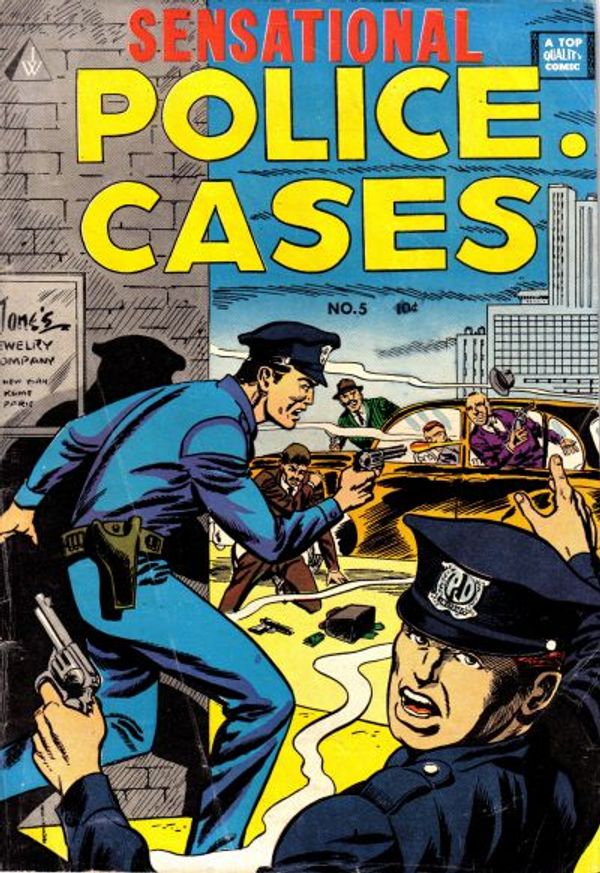 Sensational Police Cases #5