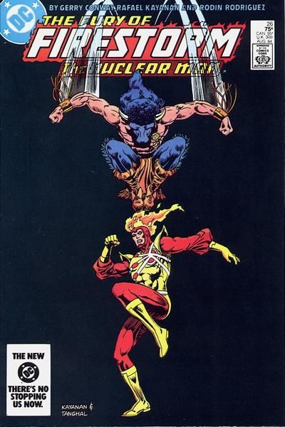 Fury of Firestorm #26 Comic