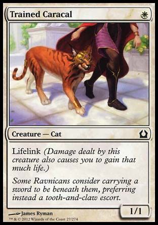 Trained Caracal (Return to Ravnica) Trading Card