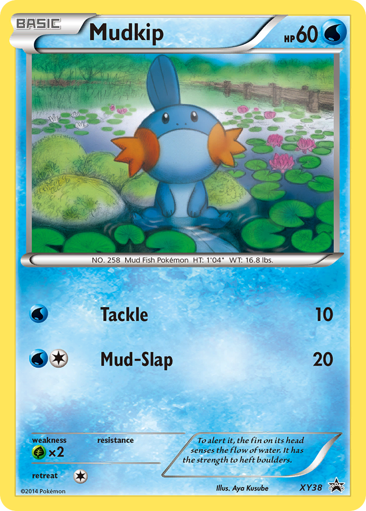 Mudkip (XY38) - XY Black Star Promos Pokémon Card