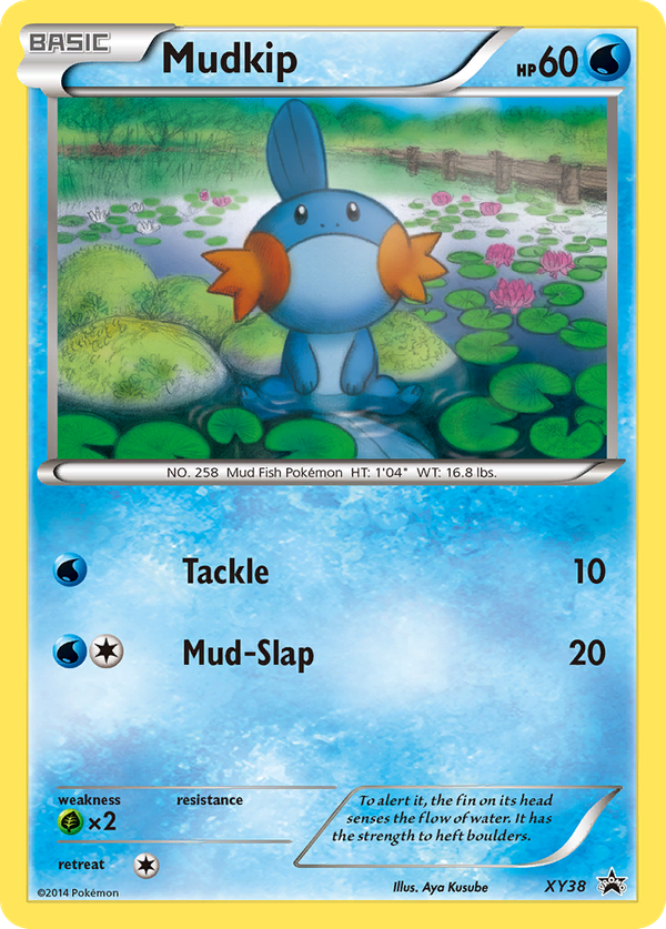 Mudkip (XY38) - XY Black Star Promos