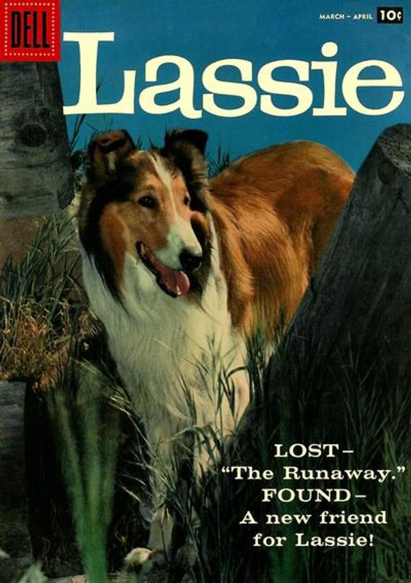 Lassie #39