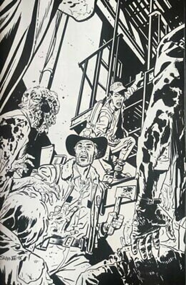 The Walking Dead #2 (Samnee Variant Cover D)