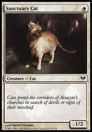 Sanctuary Cat (Dark Ascension) Trading Card