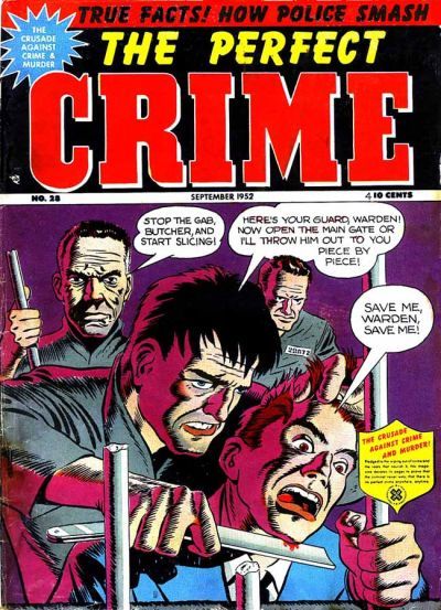 The Perfect Crime #28 Comic