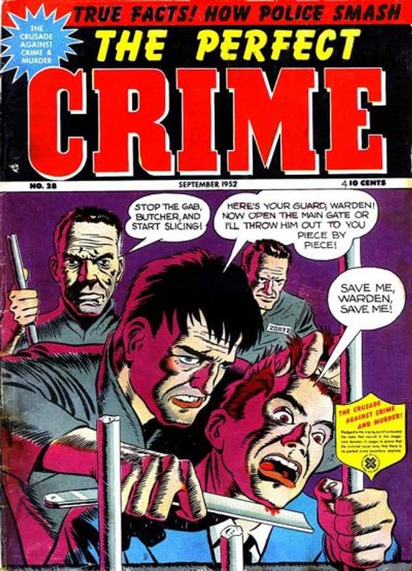 The Perfect Crime #28