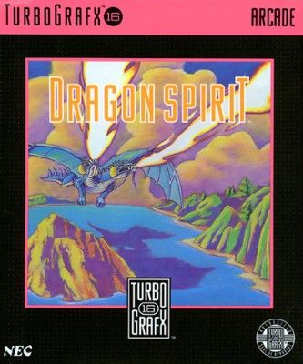Dragon Spirit Video Game