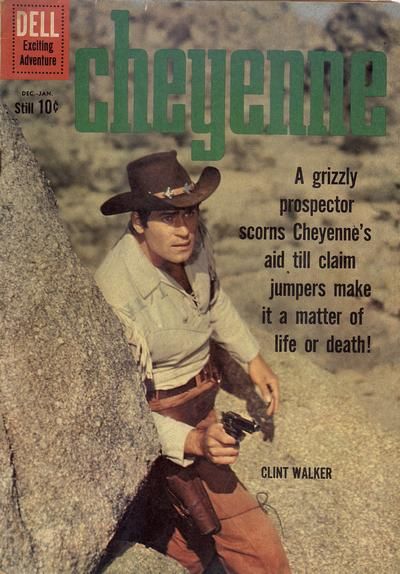 Cheyenne #19 Comic
