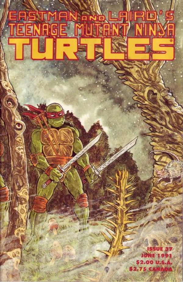 Teenage Mutant Ninja Turtles #37