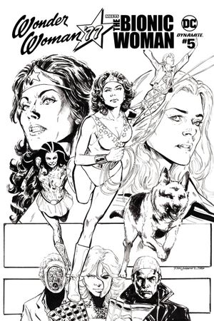 Wonder Woman '77 Meets the Bionic Woman #5 (Cover D 25 Copy Cover)