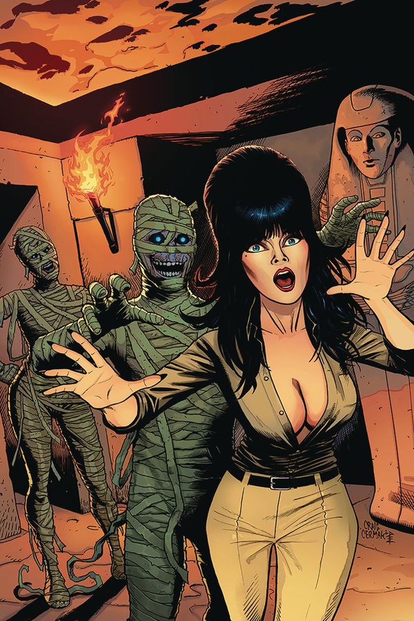 Elvira: Mistress of the Dark #11 (10 Copy Cermak Virgin Cover)