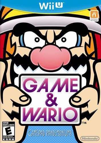 Game & Wario Video Game