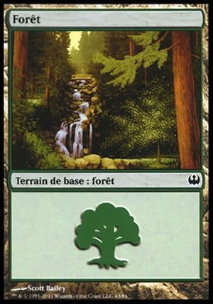 Forest (Knights vs. Dragons)