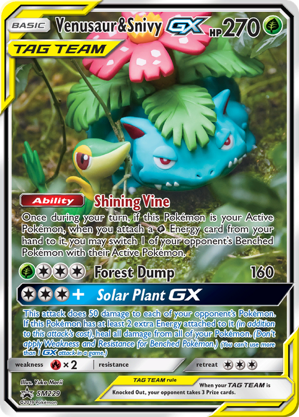 Venusaur & Snivy GX (SM229) - SM Black Star Promos