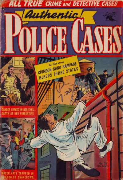 Authentic Police Cases #35 Comic