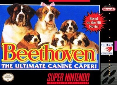 Beethoven Video Game