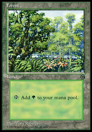 Forest (Arena Promos) Trading Card