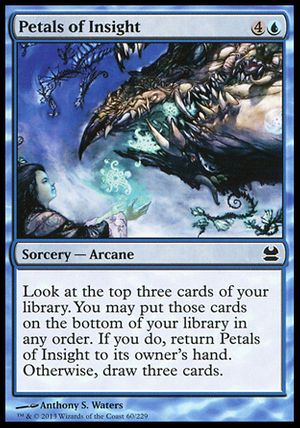 Petals of Insight (Modern Masters)