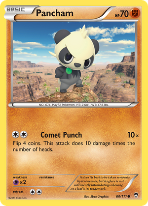 Pancham (60/111) - Furious Fists