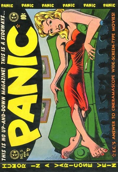 Panic #5 Comic