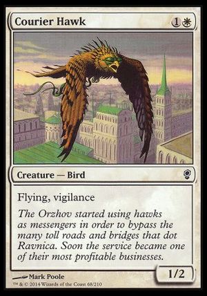 Courier Hawk (Conspiracy)