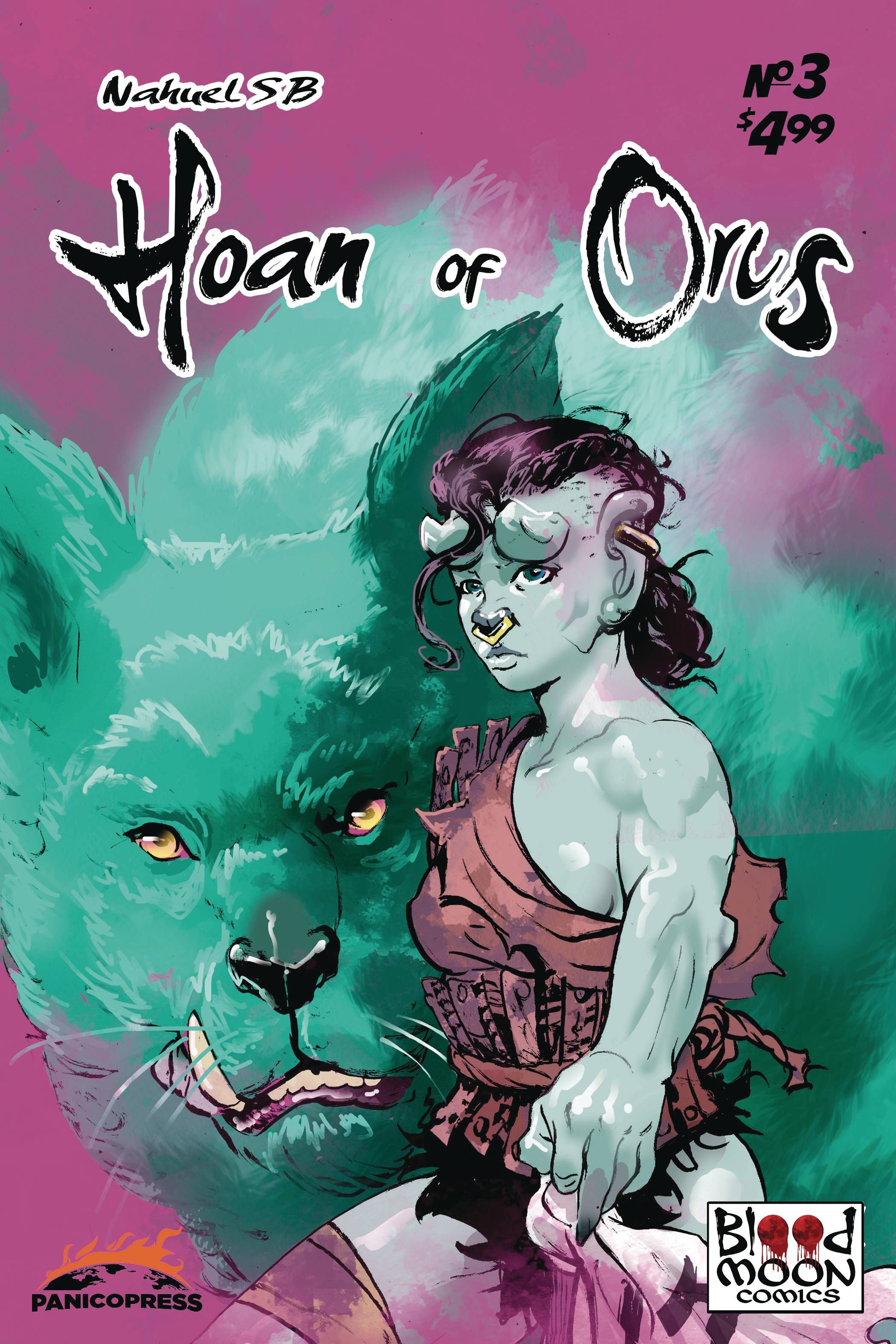 Hoan of Orcs #3 Comic