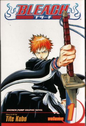 Bleach #1