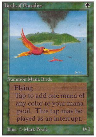 Birds of Paradise (Unlimited) Trading Card