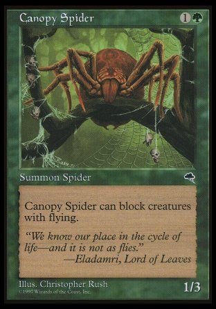 Canopy Spider (Tempest) Trading Card