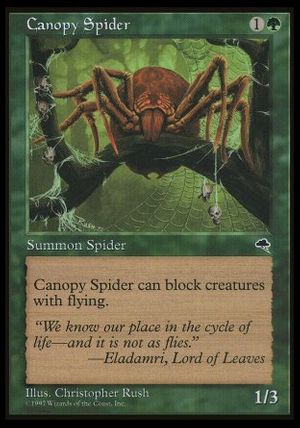 Canopy Spider (Tempest)