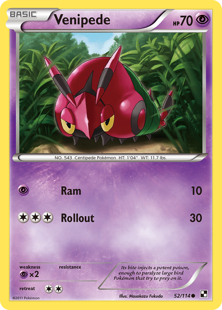 Venipede (52/114) - Black & White Pokémon Card